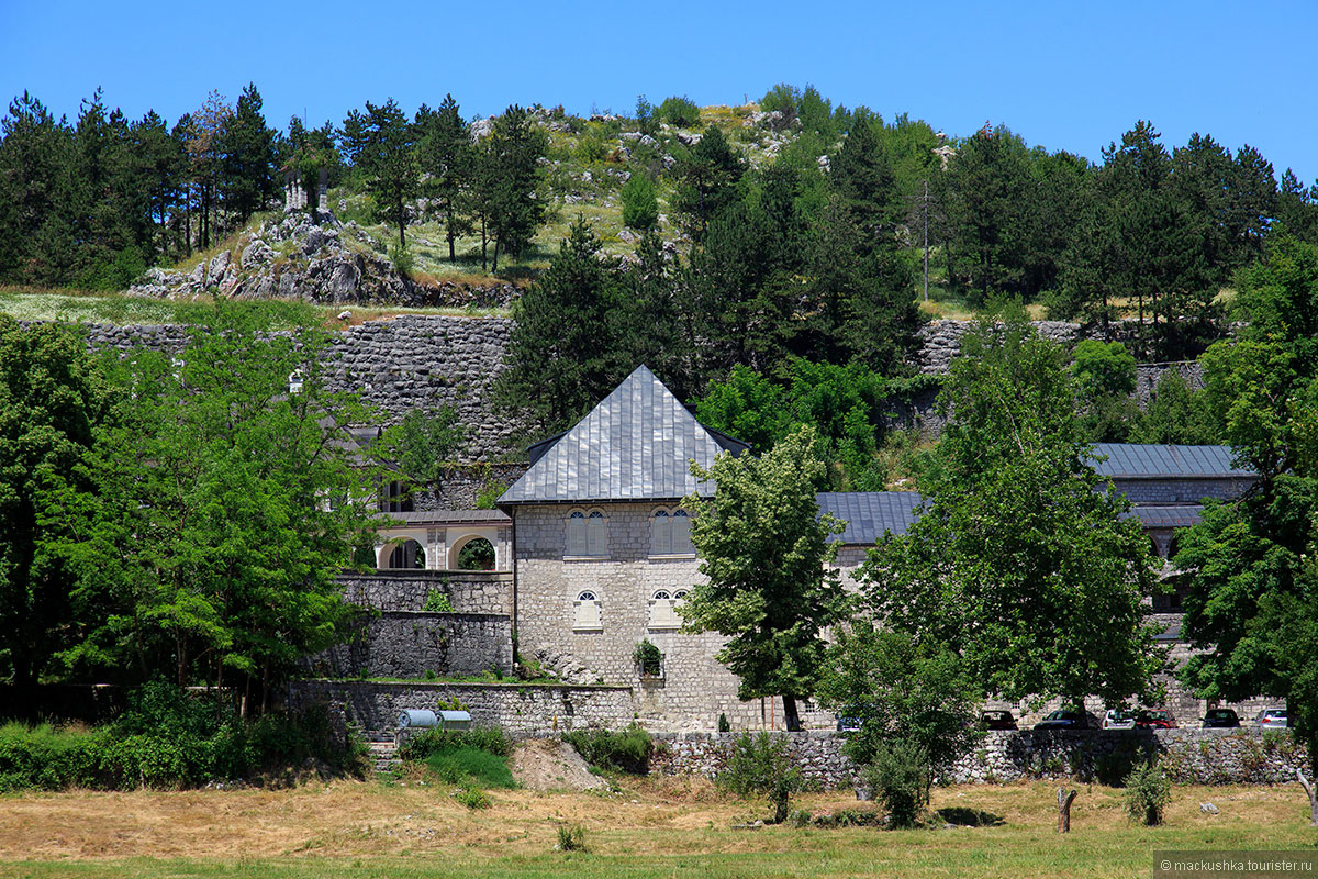 Cetinje